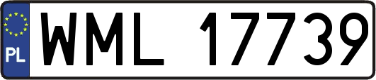 WML17739