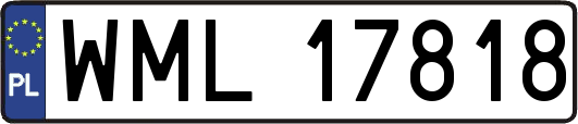 WML17818