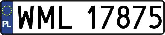 WML17875