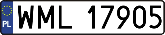 WML17905