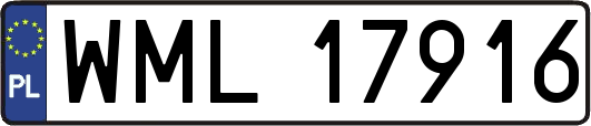 WML17916