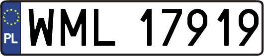 WML17919