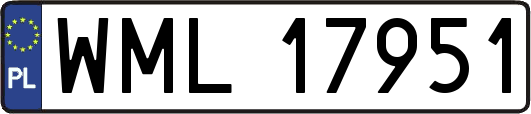 WML17951