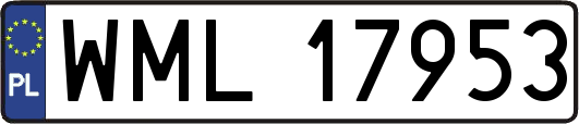 WML17953