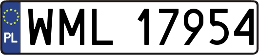 WML17954