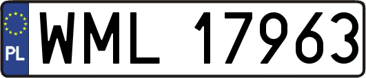 WML17963