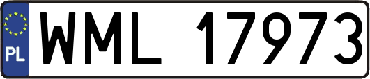 WML17973
