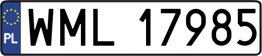WML17985