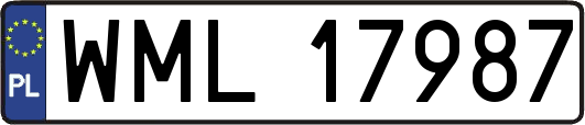 WML17987