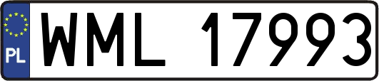 WML17993