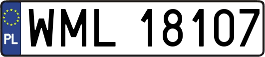 WML18107