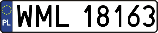 WML18163