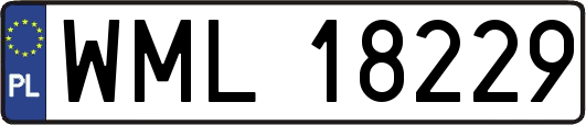 WML18229
