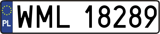 WML18289