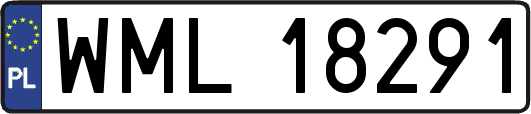 WML18291