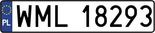 WML18293