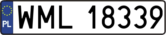 WML18339