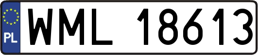 WML18613