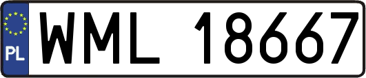 WML18667