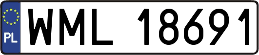 WML18691