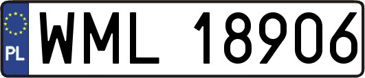 WML18906