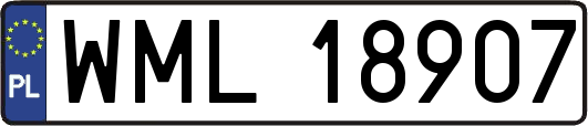 WML18907