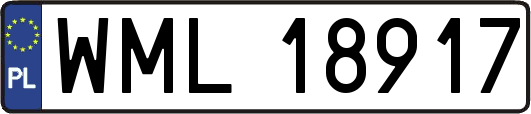 WML18917