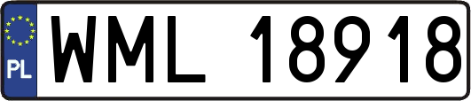 WML18918