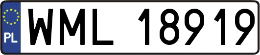 WML18919