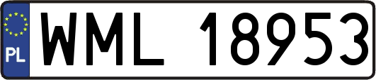 WML18953