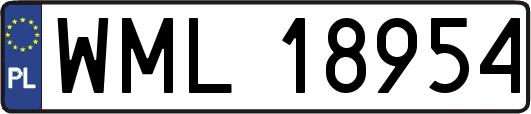 WML18954