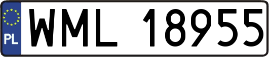 WML18955
