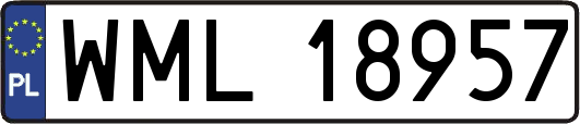 WML18957