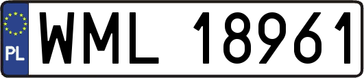 WML18961