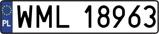 WML18963