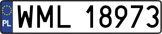 WML18973