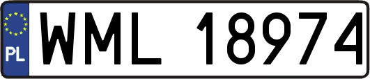 WML18974