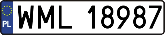 WML18987