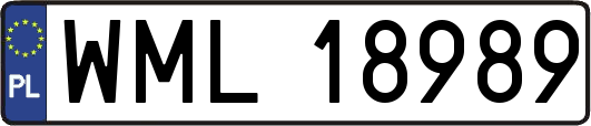 WML18989