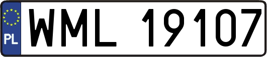WML19107