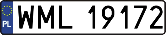 WML19172
