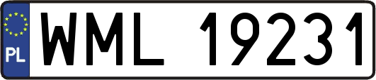 WML19231