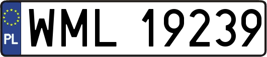 WML19239