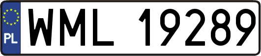 WML19289