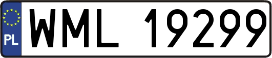 WML19299