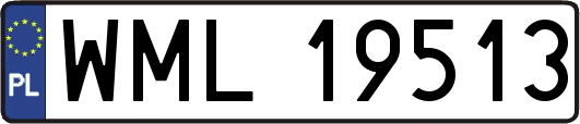 WML19513