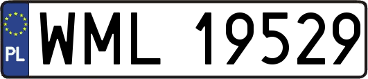 WML19529