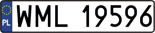 WML19596