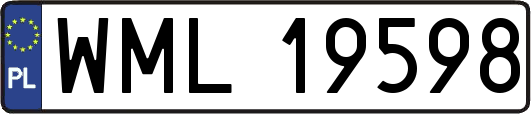 WML19598