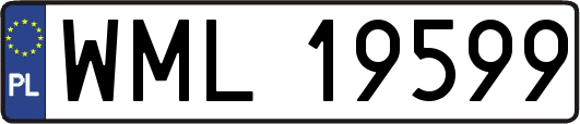 WML19599